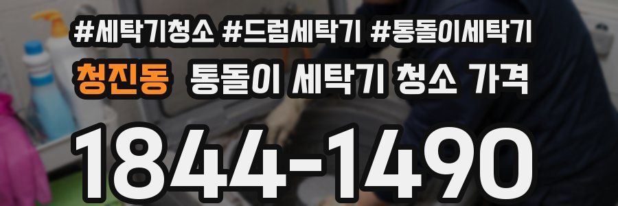 청진동 통돌이 세탁기 청소 가격