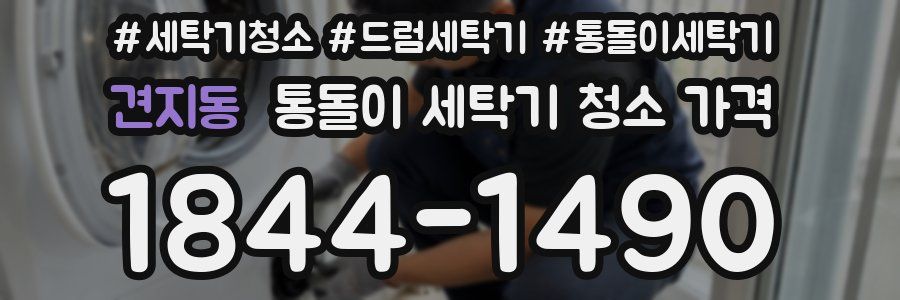 견지동 통돌이 세탁기 청소 가격