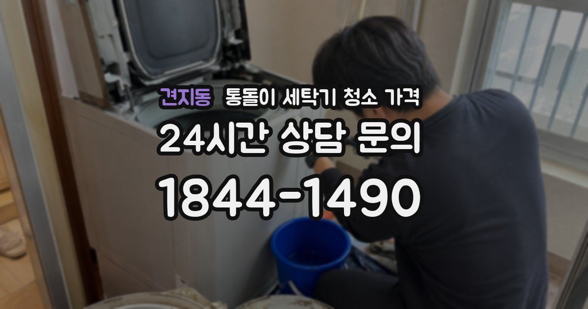 견지동 통돌이 세탁기 청소 가격