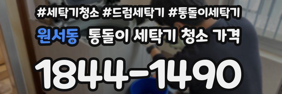 원서동 통돌이 세탁기 청소 가격