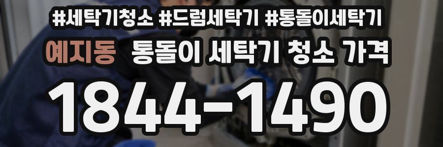 예지동 통돌이 세탁기 청소 가격