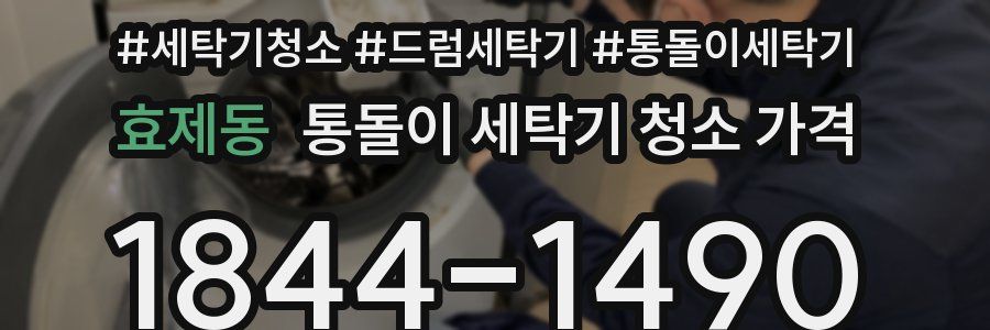 효제동 통돌이 세탁기 청소 가격
