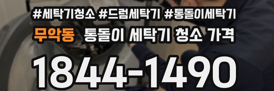 무악동 통돌이 세탁기 청소 가격