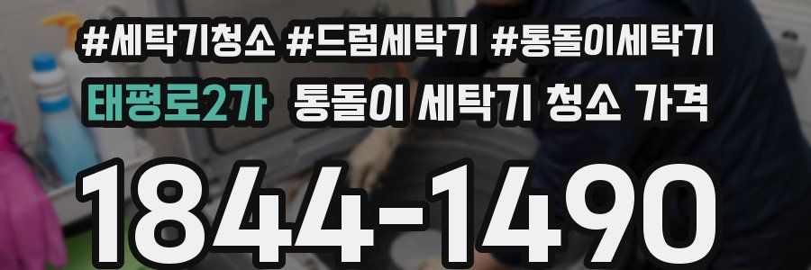 태평로2가 통돌이 세탁기 청소 가격