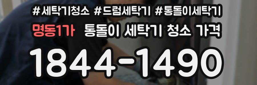 명동1가 통돌이 세탁기 청소 가격