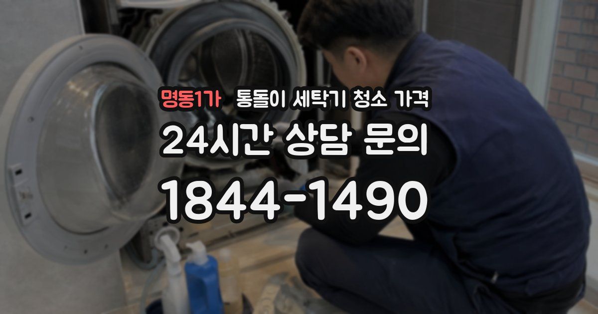 명동1가 통돌이 세탁기 청소 가격