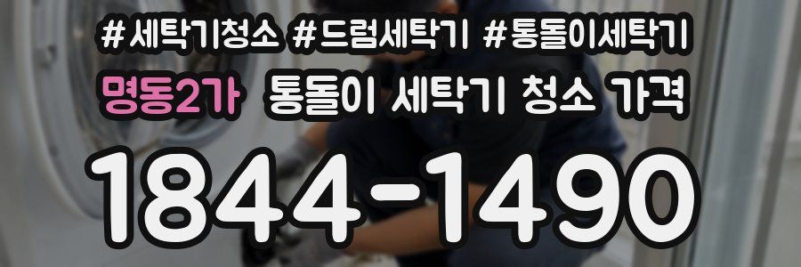 명동2가 통돌이 세탁기 청소 가격