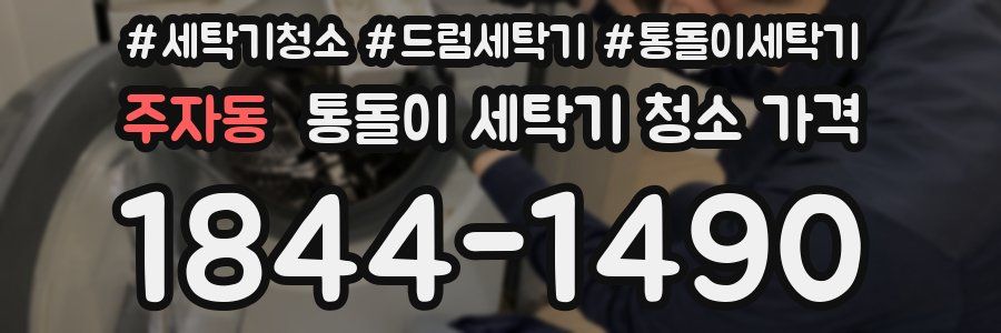 주자동 통돌이 세탁기 청소 가격