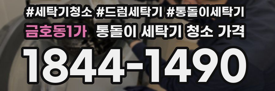 금호동1가 통돌이 세탁기 청소 가격