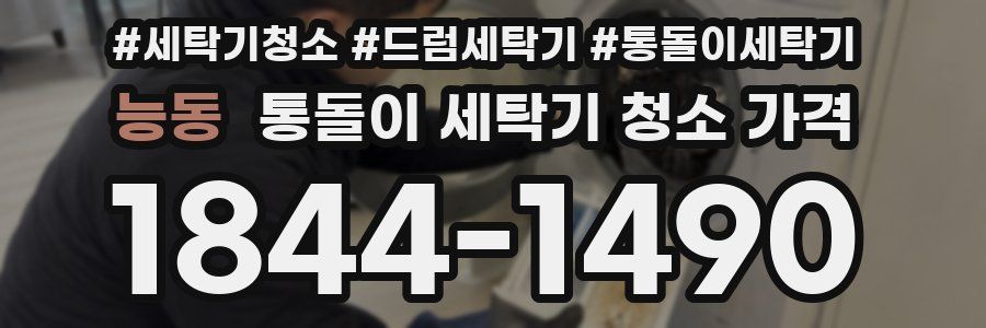 능동 통돌이 세탁기 청소 가격