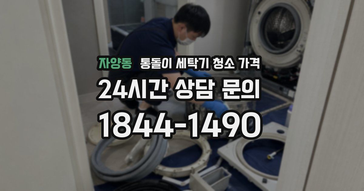 자양동 통돌이 세탁기 청소 가격