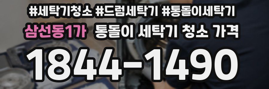 삼선동1가 통돌이 세탁기 청소 가격