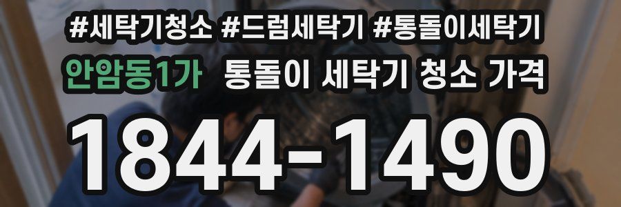 안암동1가 통돌이 세탁기 청소 가격