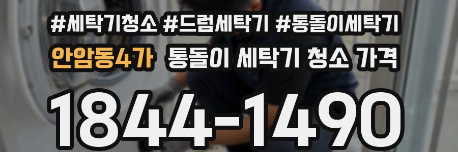 안암동4가 통돌이 세탁기 청소 가격