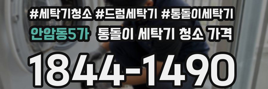 안암동5가 통돌이 세탁기 청소 가격