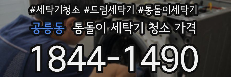 공릉동 통돌이 세탁기 청소 가격