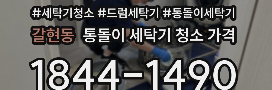 갈현동 통돌이 세탁기 청소 가격