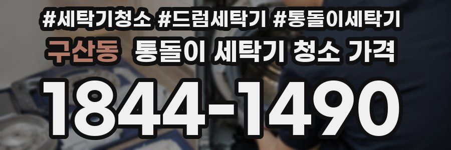 구산동 통돌이 세탁기 청소 가격