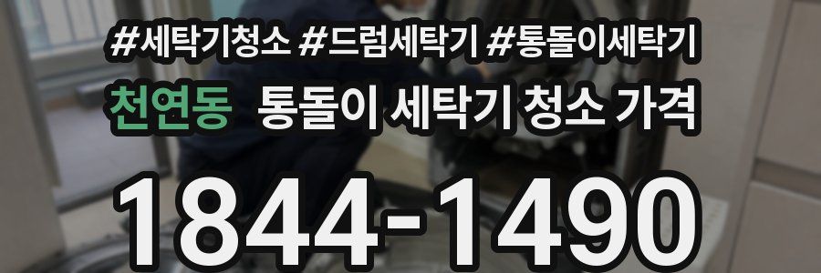 천연동 통돌이 세탁기 청소 가격
