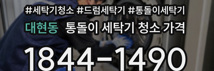 대현동 통돌이 세탁기 청소 가격