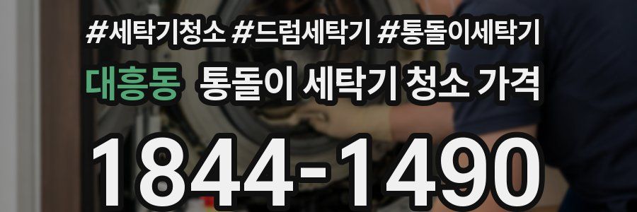대흥동 통돌이 세탁기 청소 가격