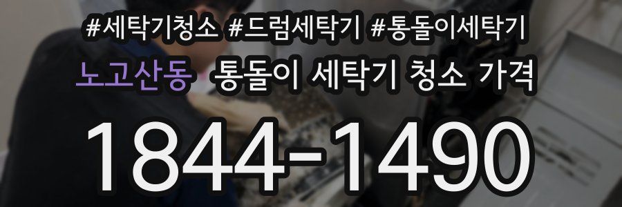노고산동 통돌이 세탁기 청소 가격
