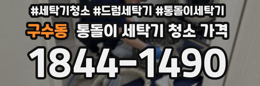 구수동 통돌이 세탁기 청소 가격