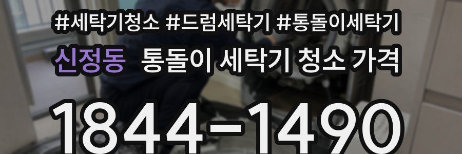 신정동 통돌이 세탁기 청소 가격