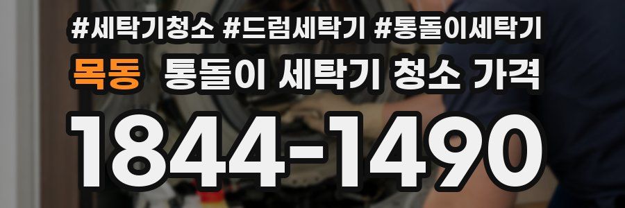 목동 통돌이 세탁기 청소 가격