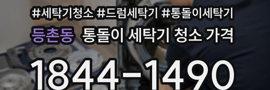 등촌동 통돌이 세탁기 청소 가격