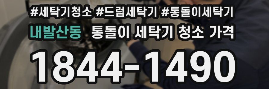 내발산동 통돌이 세탁기 청소 가격