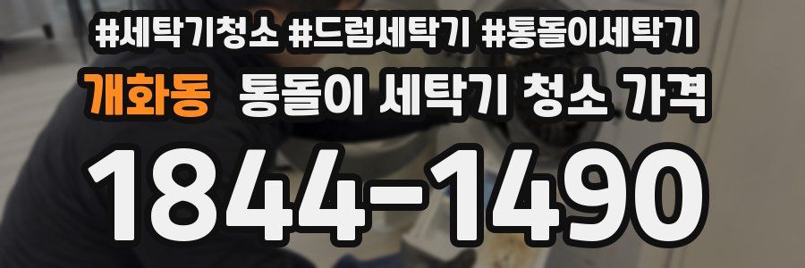 개화동 통돌이 세탁기 청소 가격