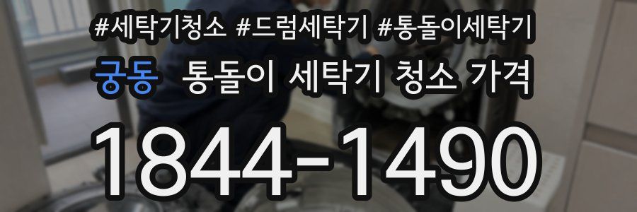 궁동 통돌이 세탁기 청소 가격