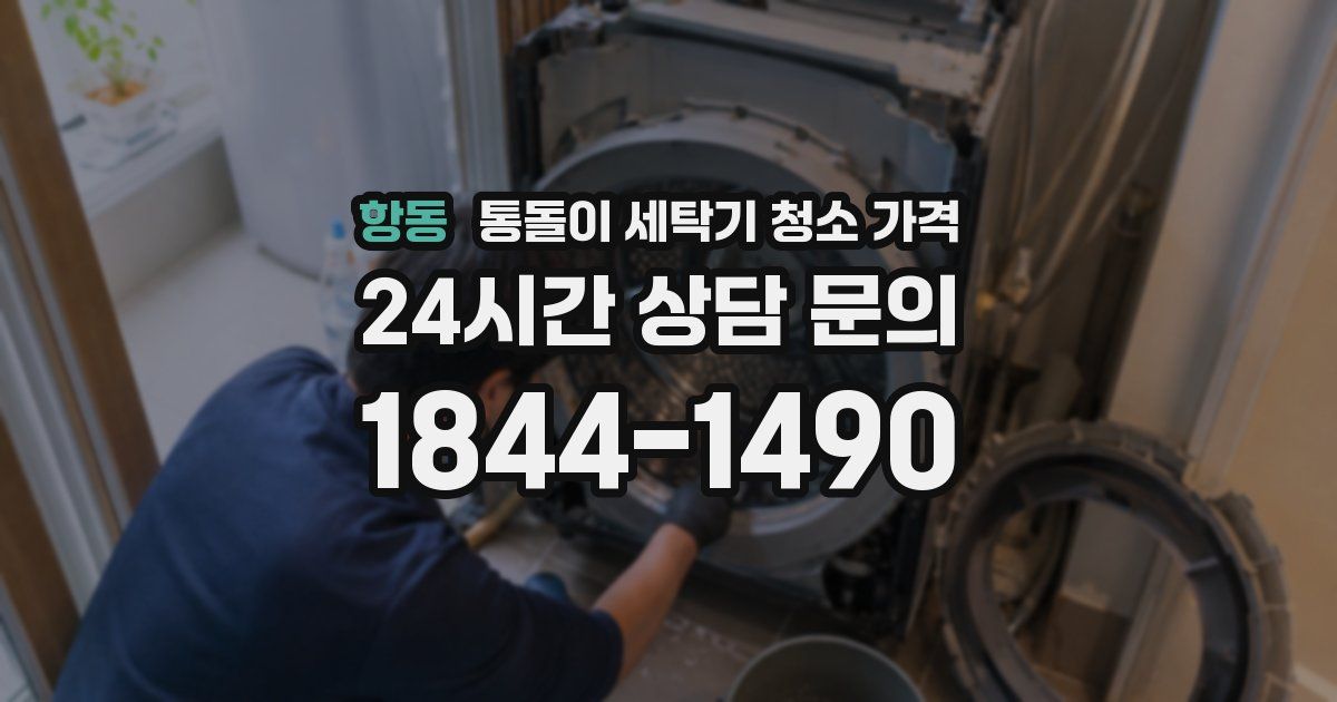 항동 통돌이 세탁기 청소 가격