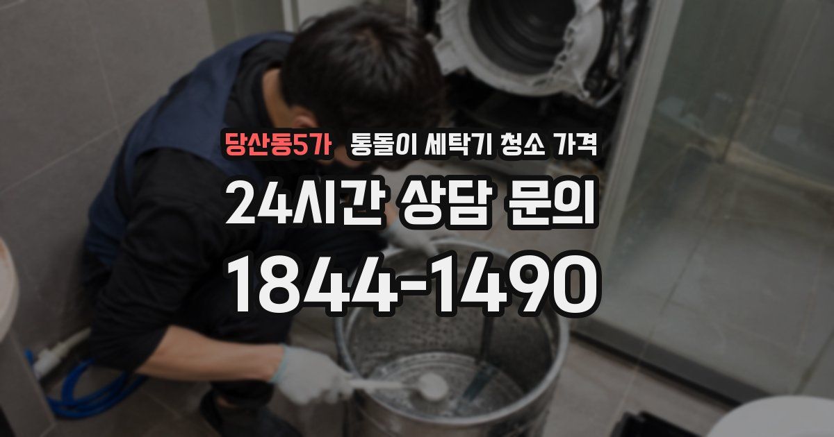 당산동5가 통돌이 세탁기 청소 가격