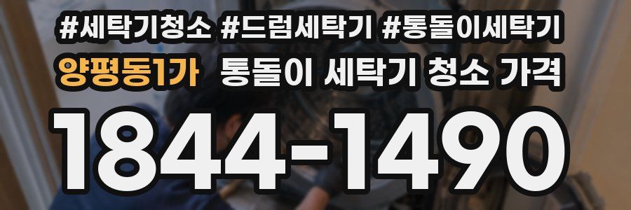 양평동1가 통돌이 세탁기 청소 가격