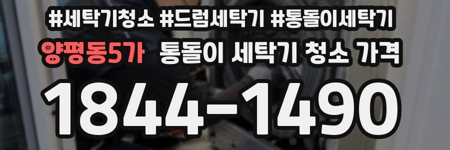 양평동5가 통돌이 세탁기 청소 가격