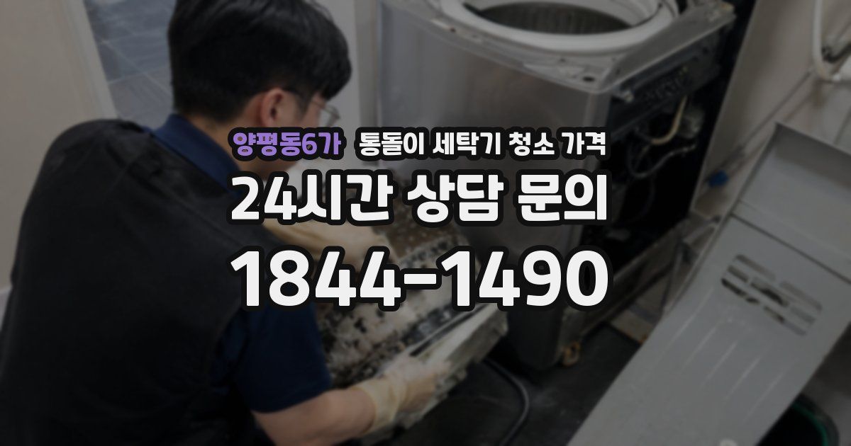 양평동6가 통돌이 세탁기 청소 가격