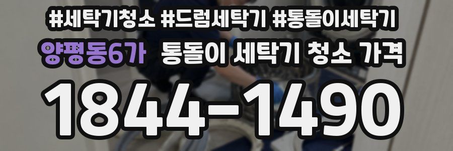 양평동6가 통돌이 세탁기 청소 가격
