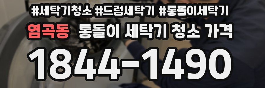 염곡동 통돌이 세탁기 청소 가격