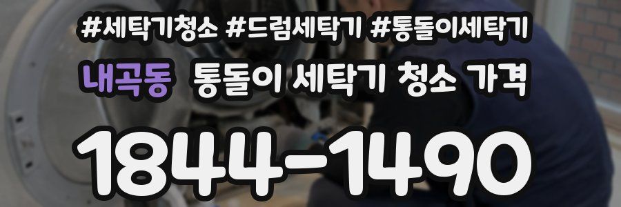 내곡동 통돌이 세탁기 청소 가격