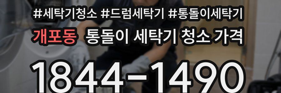 개포동 통돌이 세탁기 청소 가격