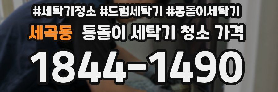 세곡동 통돌이 세탁기 청소 가격