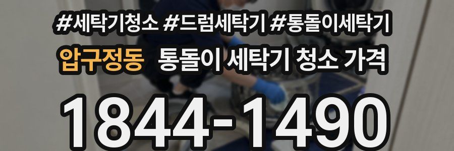 압구정동 통돌이 세탁기 청소 가격