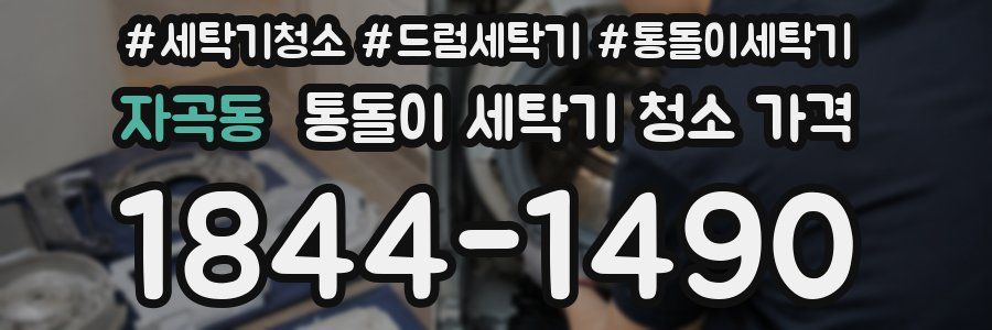 자곡동 통돌이 세탁기 청소 가격