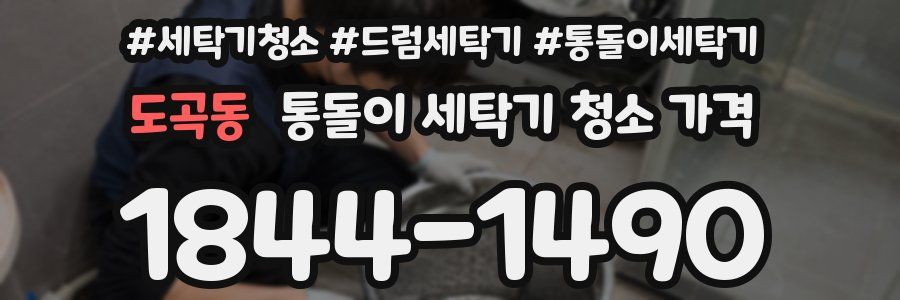 도곡동 통돌이 세탁기 청소 가격