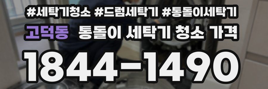 고덕동 통돌이 세탁기 청소 가격