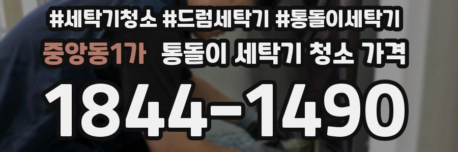 중앙동1가 통돌이 세탁기 청소 가격