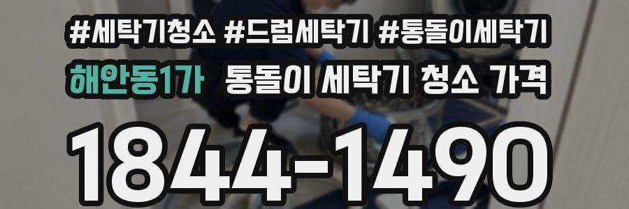 해안동1가 통돌이 세탁기 청소 가격