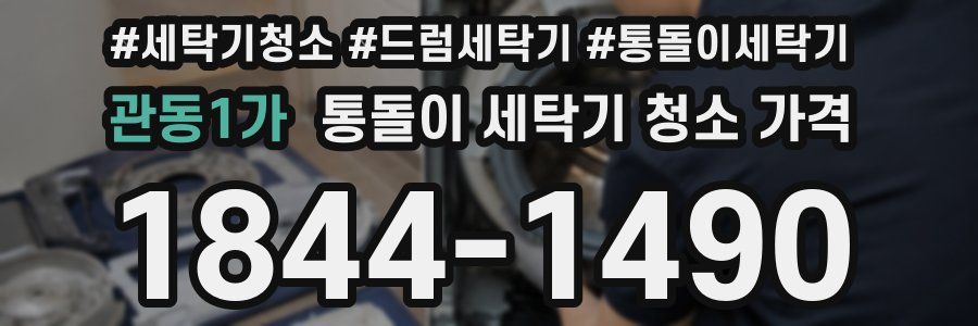 관동1가 통돌이 세탁기 청소 가격